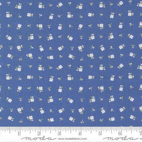 Pre-Order Peachy Keen by Coriander Quilts for Moda - Cobalt 29175 16