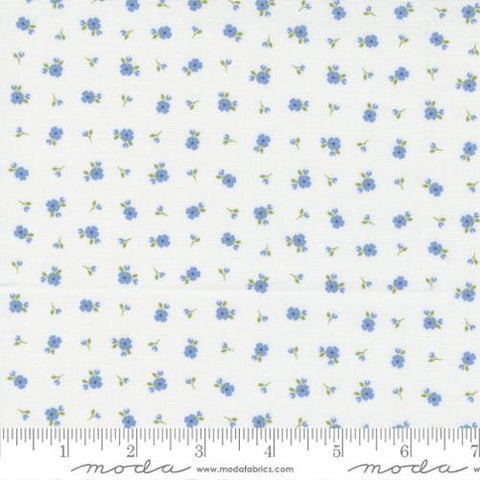 Pre-Order Peachy Keen by Coriander Quilts for Moda - Off White Blue 29175 21