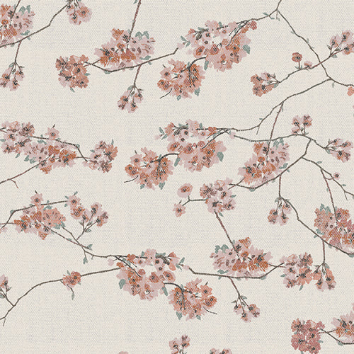 Botanist by Katarina Roccella : Blossoming Daphne