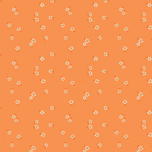 Daisy by Maureen Cracknell Drifting Florets Marmalade DSY24414