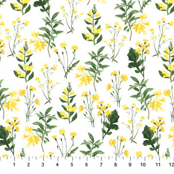 Far and Wide by Isabelle Vandeplassche 90692-10