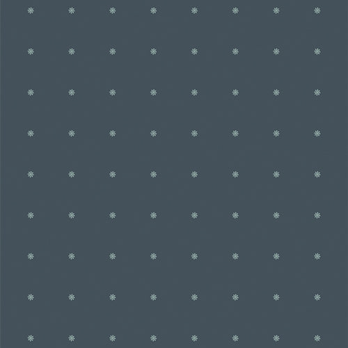 HyperNature by Pat Bravo Curiosities Nighttime