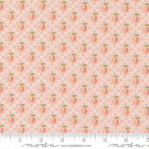 Peachy Keen by Corey Yoder - Bubble Gum 29171 17