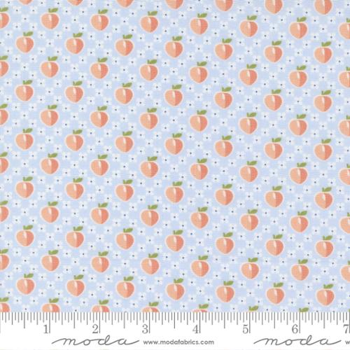 Peachy Keen by Corey Yoder - Light Blue 29171 14