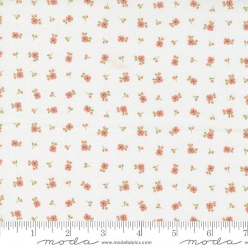 Peachy Keen by Corey Yoder - Off White 29175 11