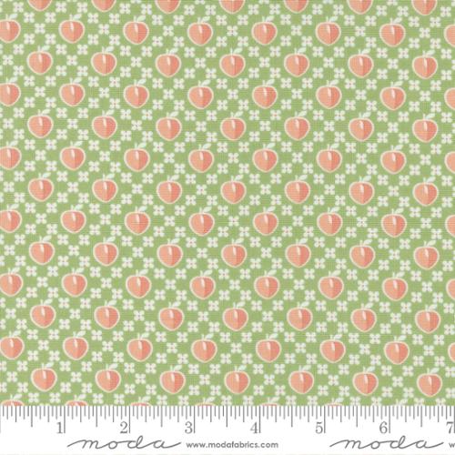 Peachy Keen by Coriander Quilts - Fern 29171 13