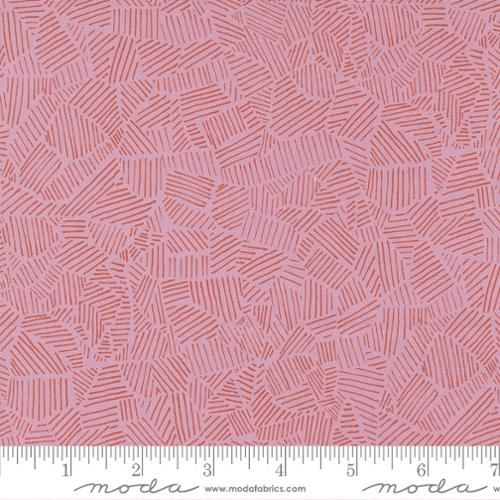 Pips by Aneela Hoey - Pips Field Foxglove 24595 13