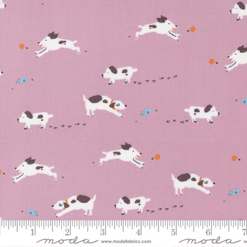Pips by Aneela Hoey - Pips Puppy Dogs Tails Foxglove 24592 13