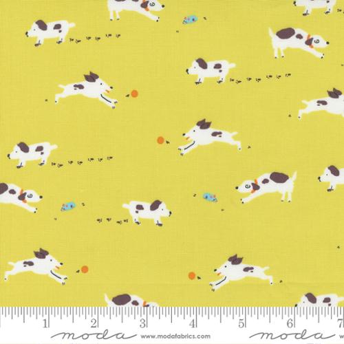 Pips by Aneela Hoey - Pips Puppy Dogs Tails Lemon Fizz 24592 12