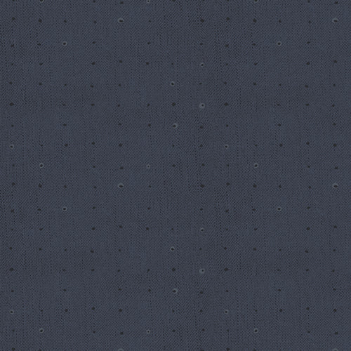 Seedling by Katarina Roccella Seeds Blueberry SDL20107