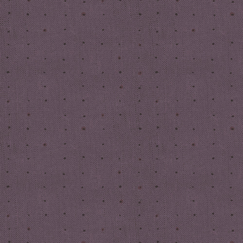 Seedling by Katarina Roccella Seeds Huckleberry SDL20105