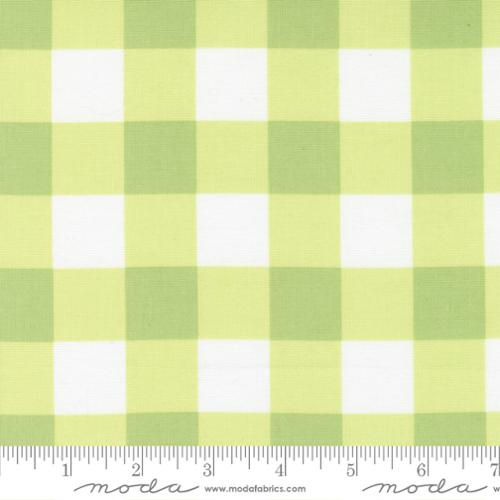 Sunwashed by Corey Yoder : Checks Light Lime 29165 15